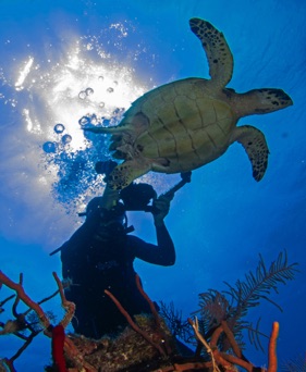 Jim and turtle